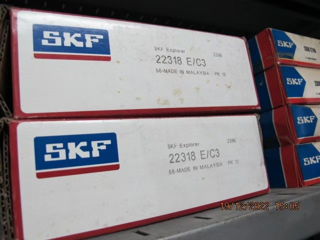 SKF Photo 33